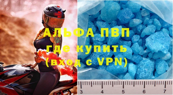 прущие грибы Богородицк