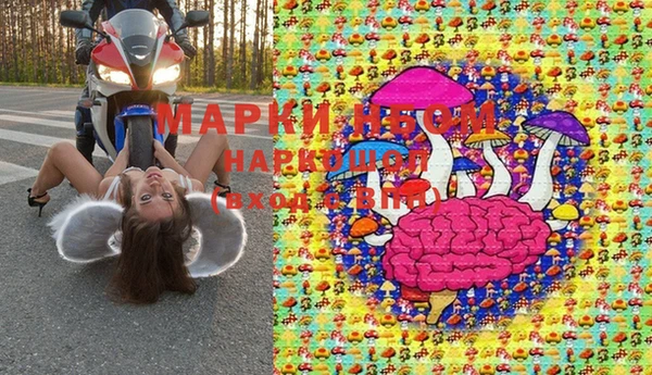прущие грибы Богородицк