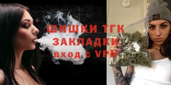 прущие грибы Богородицк